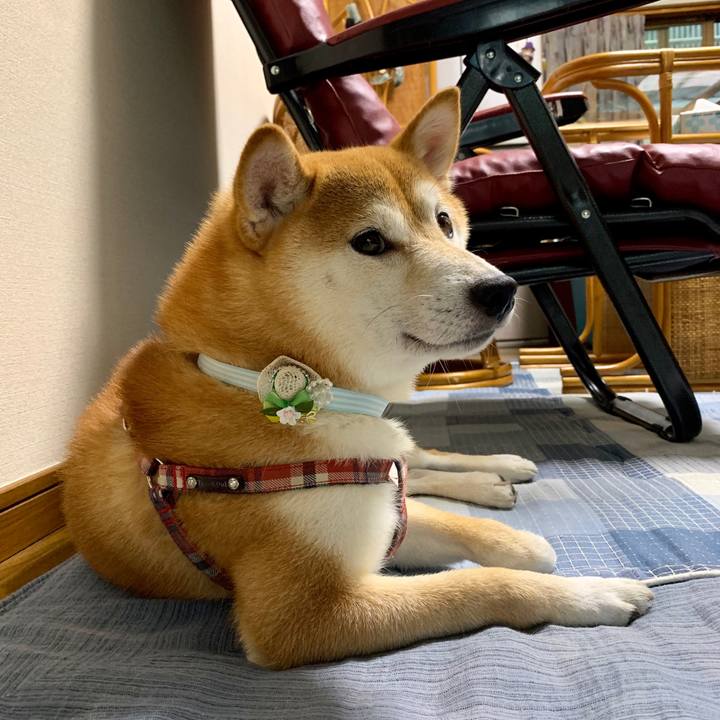 7afa9c98 5983 48c6 a080 bf82057f0f66 1568976128984