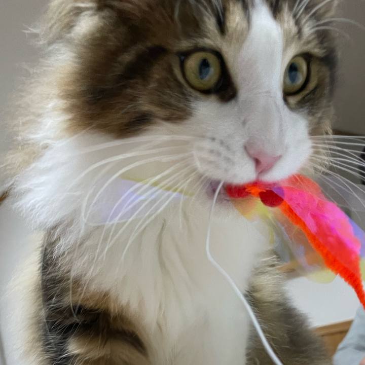 7afaa7de 93c8 4cea acc7 503bc2857db5 1637581199613