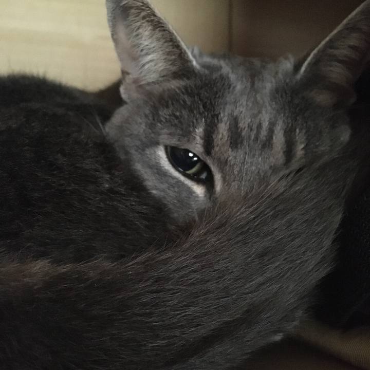 7afaaea1 0738 43e1 bdf8 0e77a2839bde 1592558502285