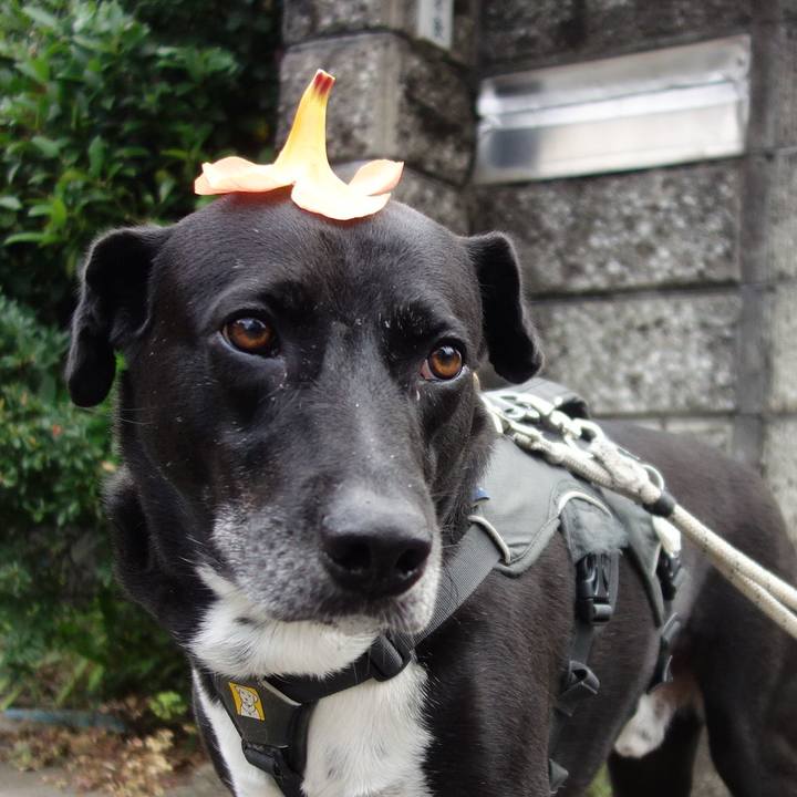 7afac8e2 4f99 407d aa9b 88abbd97c9ef 1657409825993