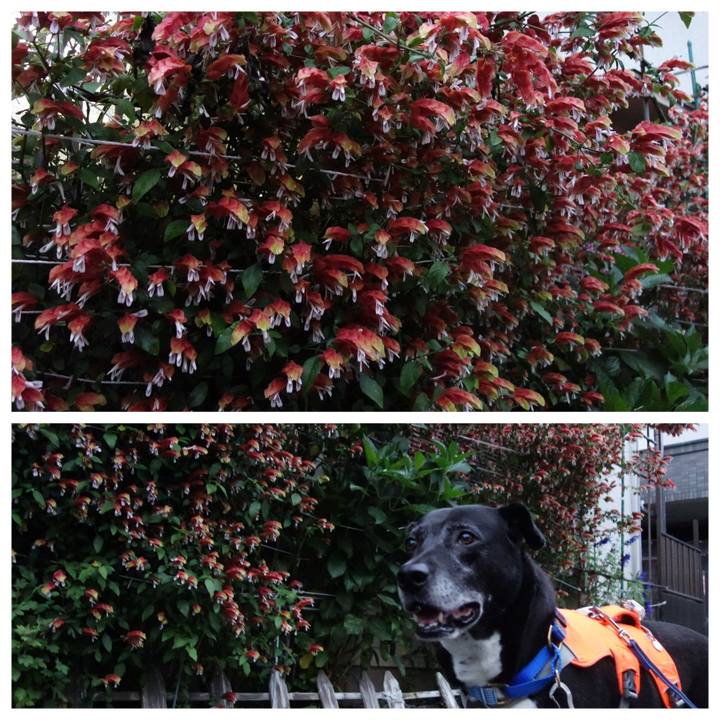 7afad878 52c9 4fca afb7 b73fed408817 1749553481551