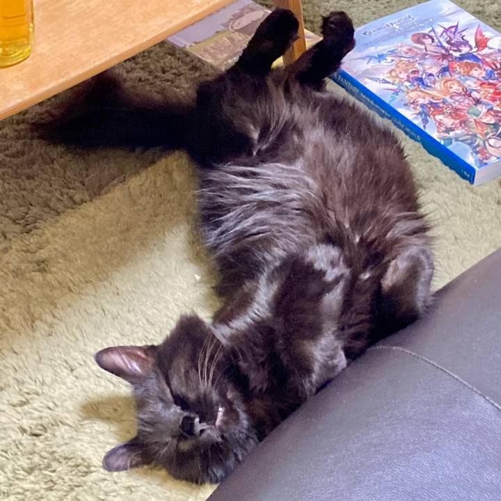 7afb6897 640e 4dbf ad1d 30fc9001dbf6 1753592332431