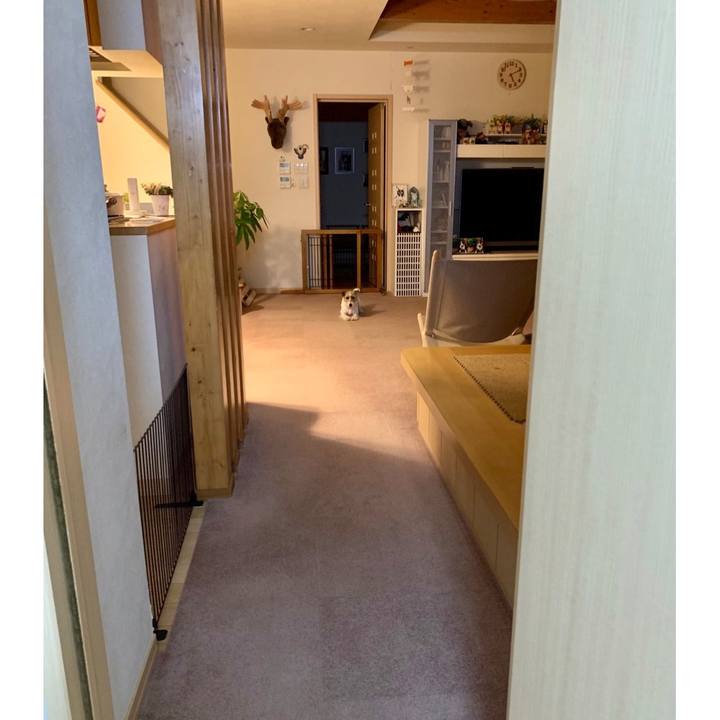 7afb8380 280a 4c52 97ee 5c584e61e43f 1601852048977