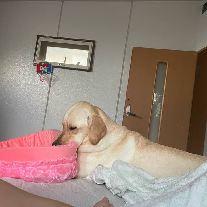 7afbb9a8 573a 4242 8c57 9eb364647a07 1661389604751