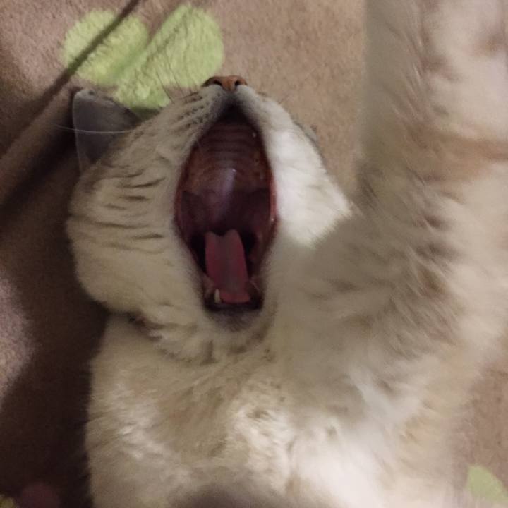 7afbc3e1 7553 4370 8199 8c5de10e1dde 1551873096530