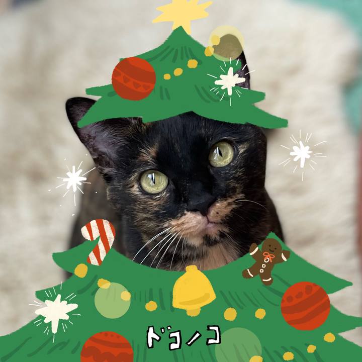 7afc04f3 d8a2 4aa2 af14 2c9144464d4a 1761204170703