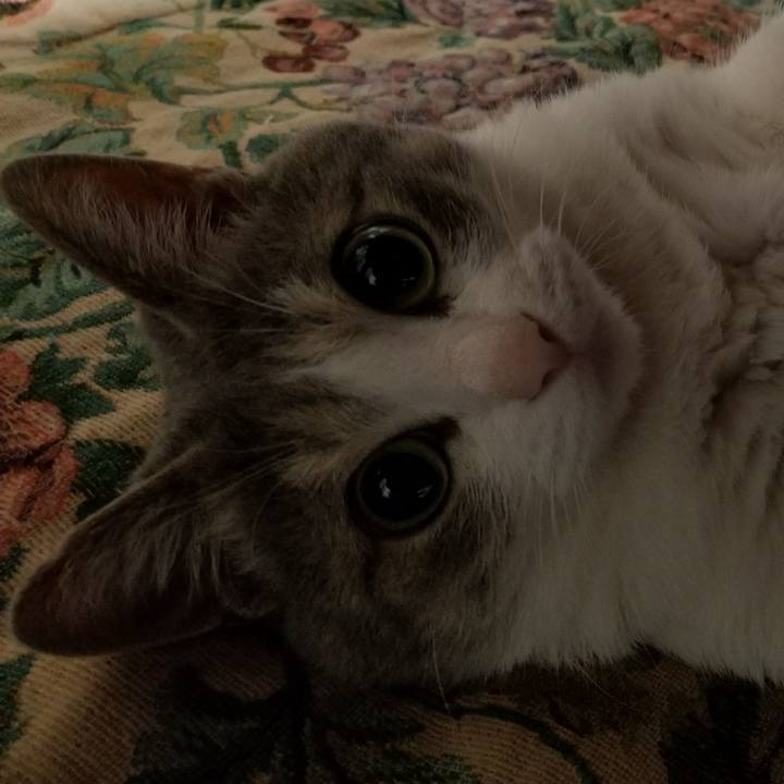 7afc09fa 6614 4298 8140 60ddefe99496 1522509184026