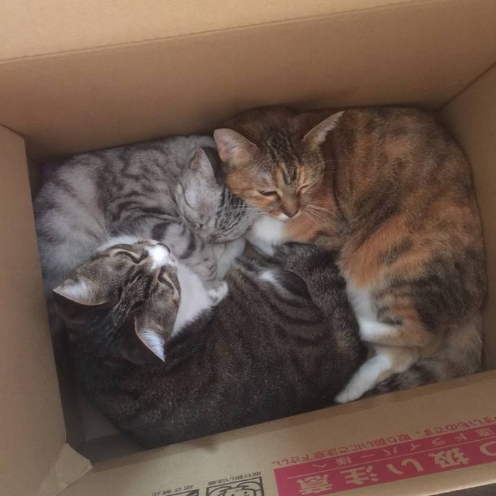 7afc5308 453f 42bb bc11 f1e4db63bf39 1572745017954