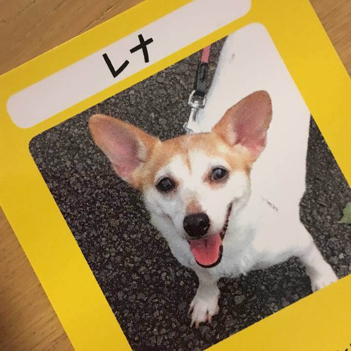 7afc98f3 39cf 4bd1 b52b 2444dfa3bd1f 1508572213840