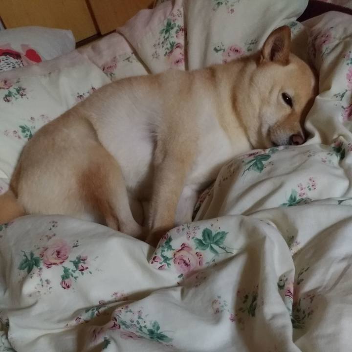 7afca0fe 7eeb 43db 9c80 aec18cc3ba90 1612098506918