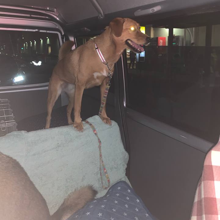 7afce0e7 691f 47e3 8caa b1972073229e 1568972299219