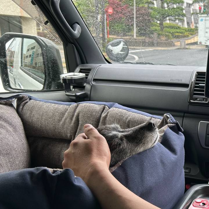 7afceaee 4bcc 43db ac6d 7e78b553eef6 1718840875675