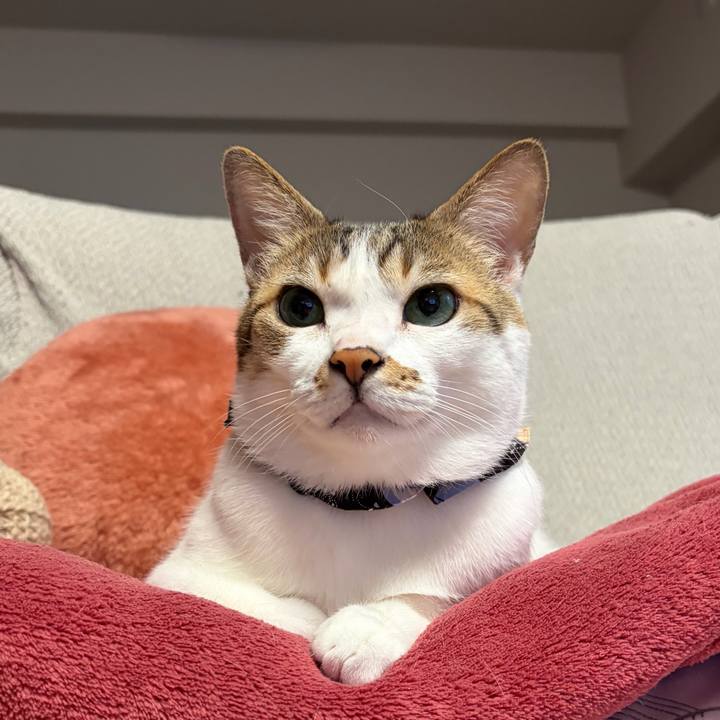 7afd1175 4d27 480c 9a4e 6596c5bdb05f 1771195325997