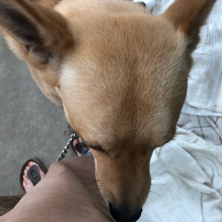 7afd128f ab68 494d 9985 03692ff85dc3 1560061415272