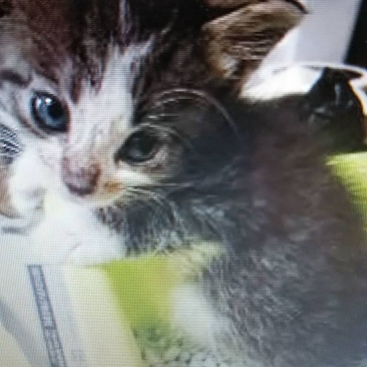 7afd3fb6 0212 4477 aa03 ebd3e616adcb 1614438596606