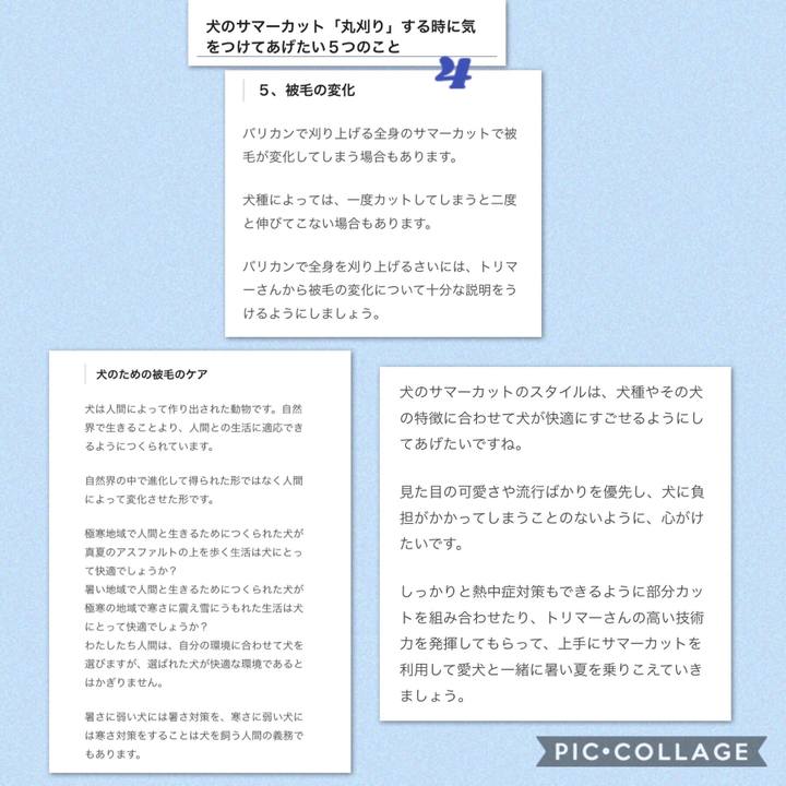 7afd41f3 10ea 4364 8807 169949036081 1531704107664