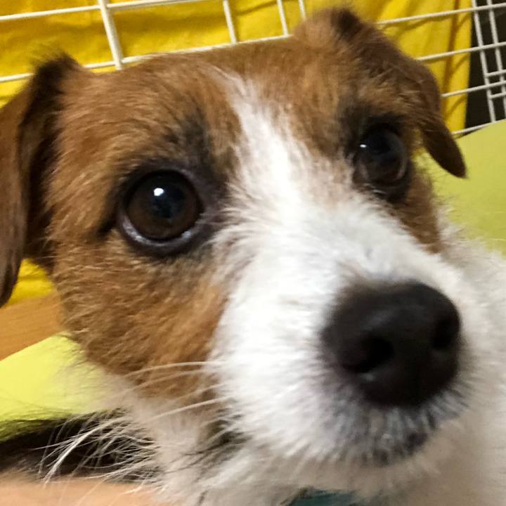 7afd4d2f f68e 4689 a6d6 449d5d40a279 1521121537795