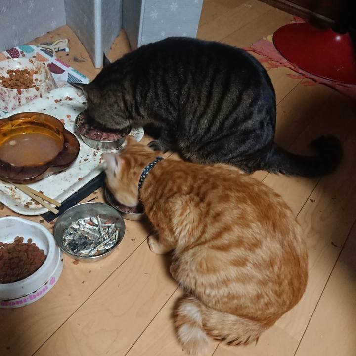 7afd4e84 ac5d 488e 93c1 259d44c503b1 1643403033704