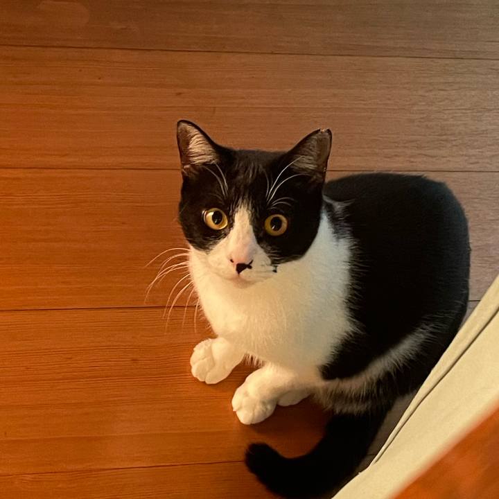 7afd50ea 60a1 4ba8 9893 ec0bb29089e0 1697924475785