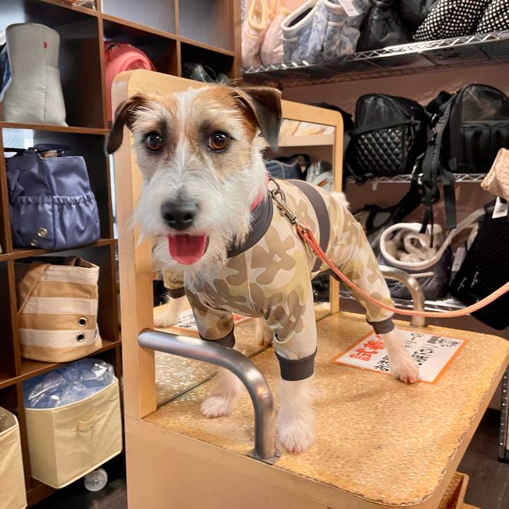 7afd9d18 42ec 4751 a314 28f3f5c91806 1650178499634