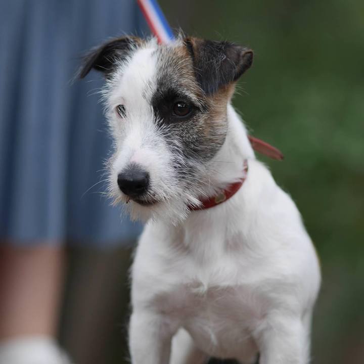 7afdae69 25cd 433c 90d3 2f915d3f325a 1633686981448