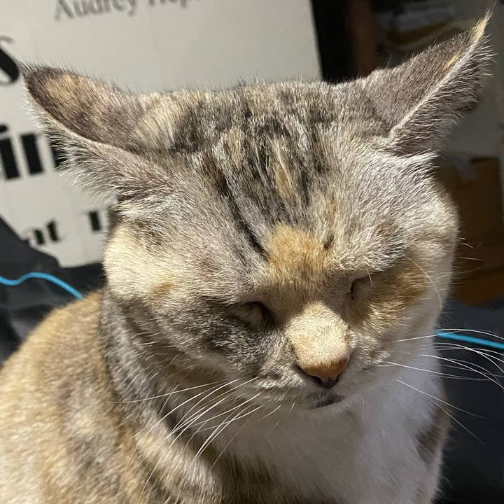 7afdc2b8 0d58 4fe9 aed0 97ec8f5d4480 1677335910235