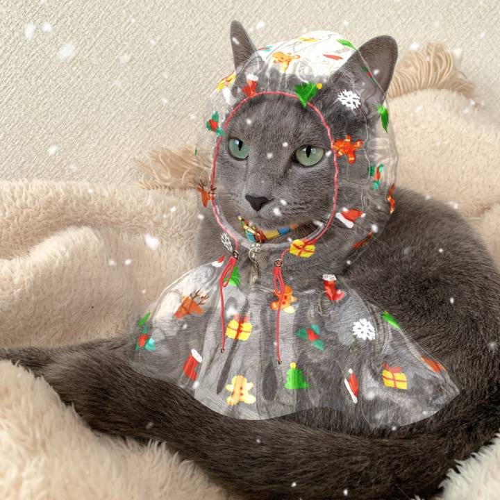 7afdc6af d764 4054 8647 35d02c3702be 1640412978172