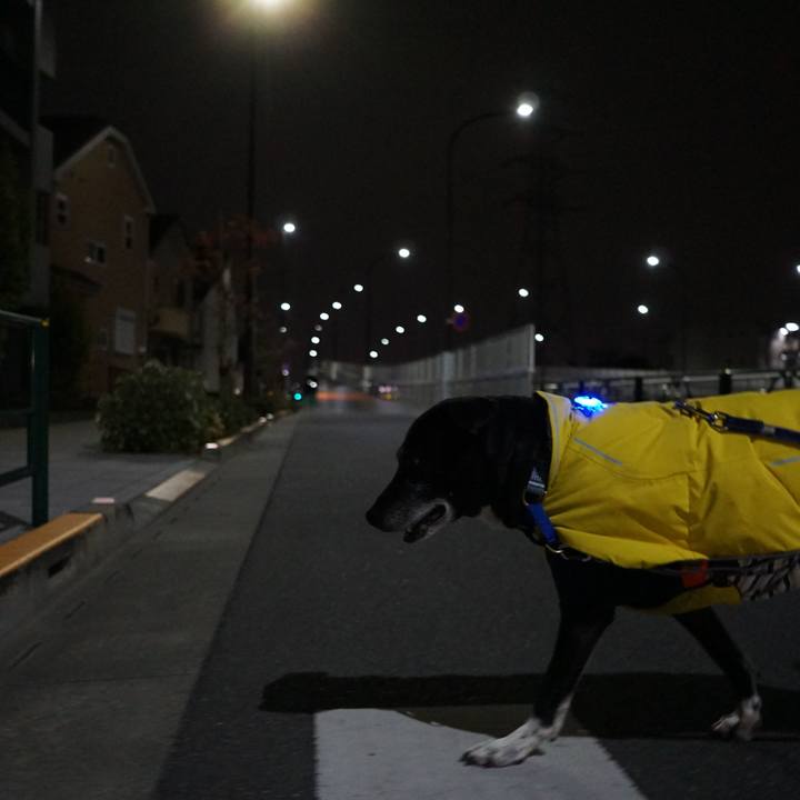 7afe070f 4145 4cfb 8f05 4157189aa5d3 1765624710341