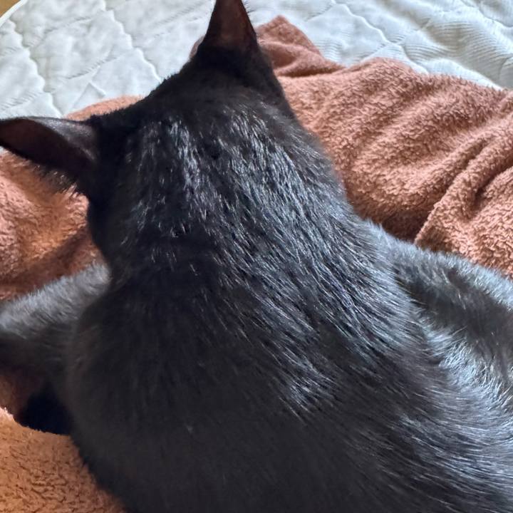 7afe0f07 7ef1 4001 8d8e 230f9da59e2c 1757122766099