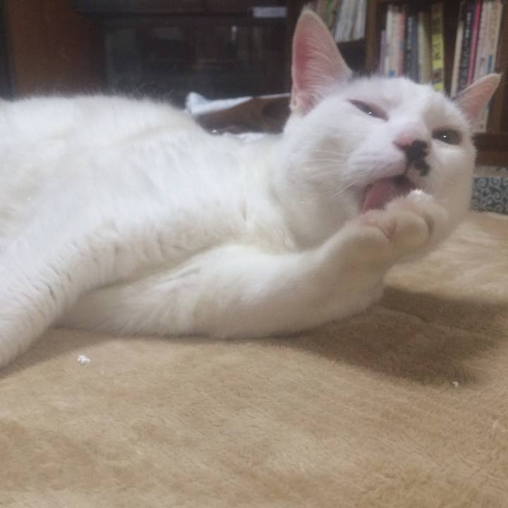 7afe11d2 4ec8 4592 81f7 09276e4a7d2d 1558707798906