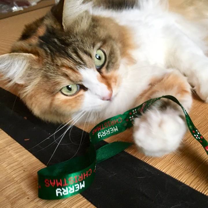 7afe87c3 3035 401f 9e3e 1f91e821be1d 1559789108072