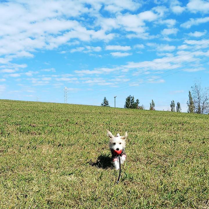 7afea673 7047 46c7 8129 1bbf7e389e2d 1541251652025