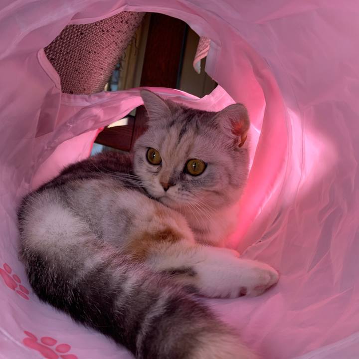 7afea862 11e5 4fe3 8e92 fbb9974eccf0 1709421007279