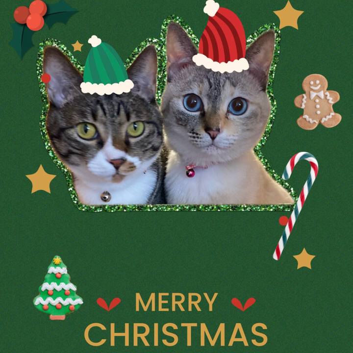 7afeb547 da21 4ae8 8916 7f23ddd84c57 1735030139077