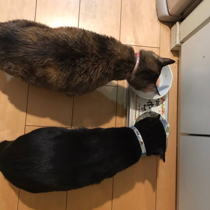 7afebd92 d130 451e be4e 22f5cd38635b 1516531155294