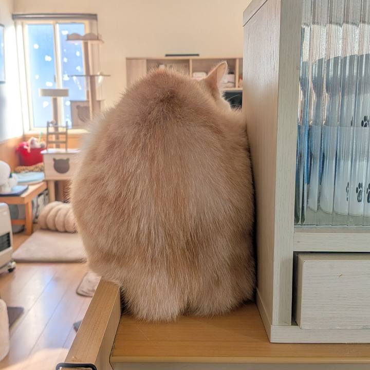 7afec35a 8aa3 48e8 8f49 0f2ac5c2497c 1768055119596