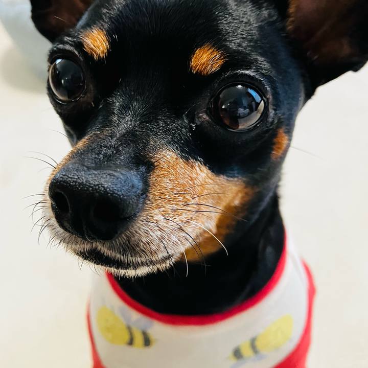 7afec695 55cc 46c2 b0a6 0df7d9149297 1730496432571