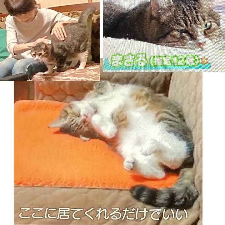 7afec7c7 d08d 443b 9d77 54b3c823040c 1633225020871