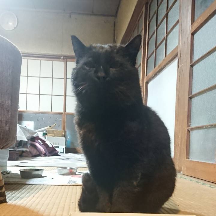 7afecc0f b2d3 4618 9d41 ccfc6c2aac2d 1618314556969