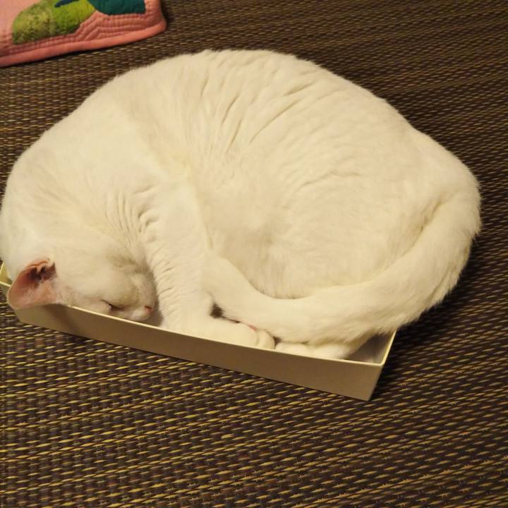 7afef1b3 4e72 4a2f a7ae 85612faf7b83 1567171861358