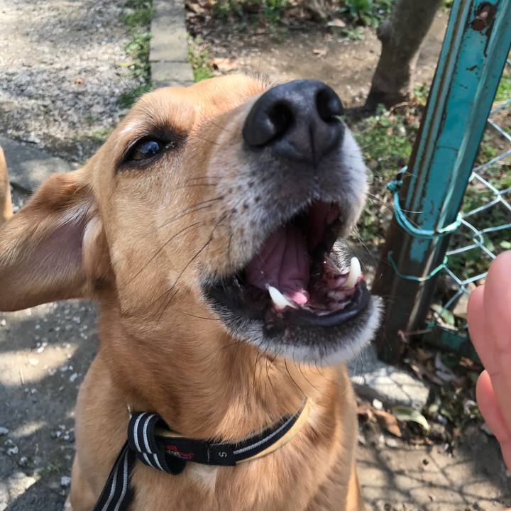 7afef3fa 0b37 4114 a85b 97ee43ac5ac9 1553768574783