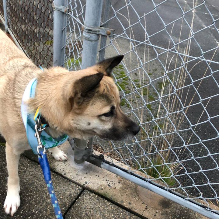 7aff1068 89f9 4b04 a56a 6dd22972e9c8 1578400576782