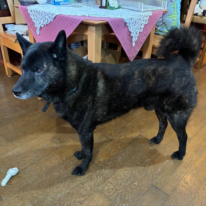 7aff1ca5 2f27 49b0 a09d 6b91b75192fe 1758611298260