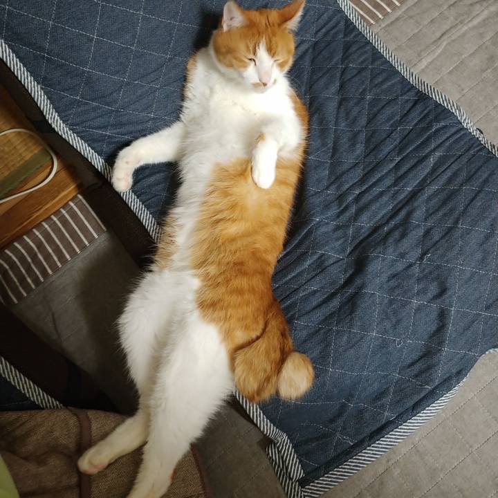 7aff1f44 c1f8 4496 bc3d 32a9b6d3b797 1604355766460