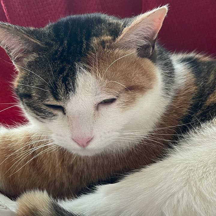 7aff54a8 e9f2 4c61 aa4d 836bc6c52d9a 1617056244876