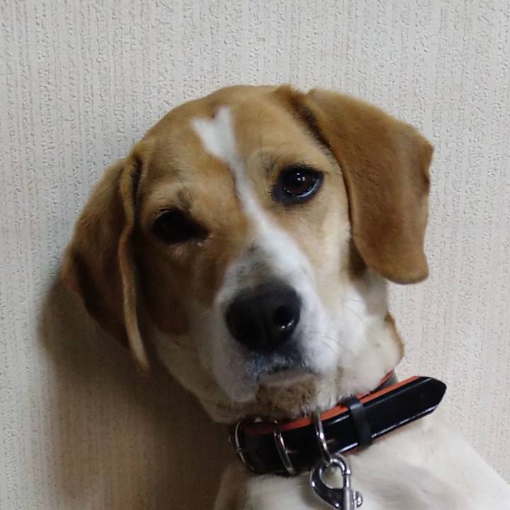 7aff7590 3f5f 41c5 b345 1a5de13851bb 1621432422551