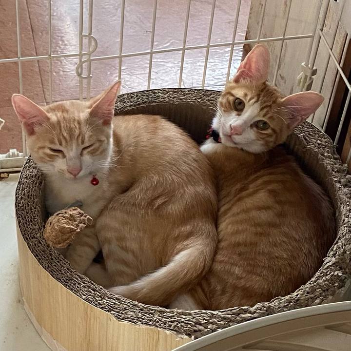 7aff9e64 229f 47a0 b691 d7632bbbdb66 1729672001970