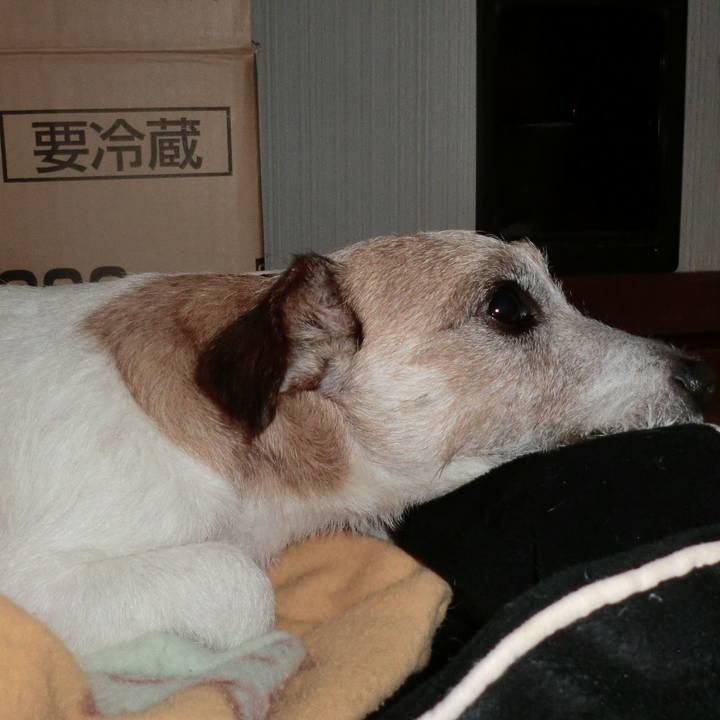 7affe30a e5ed 44e9 9448 b6c39eb8c2dd 1509795354900