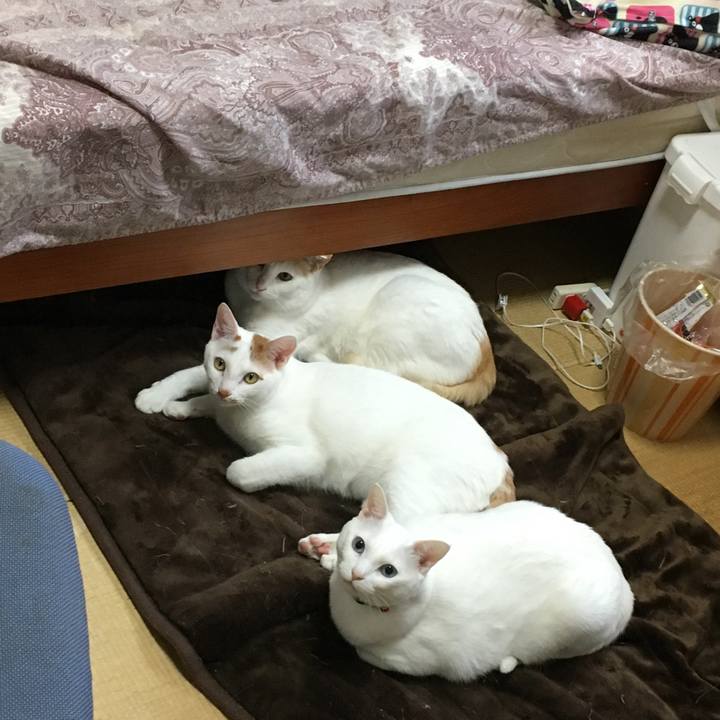 7affe6e4 6555 469b aacf dc31287cb507 1519199999508