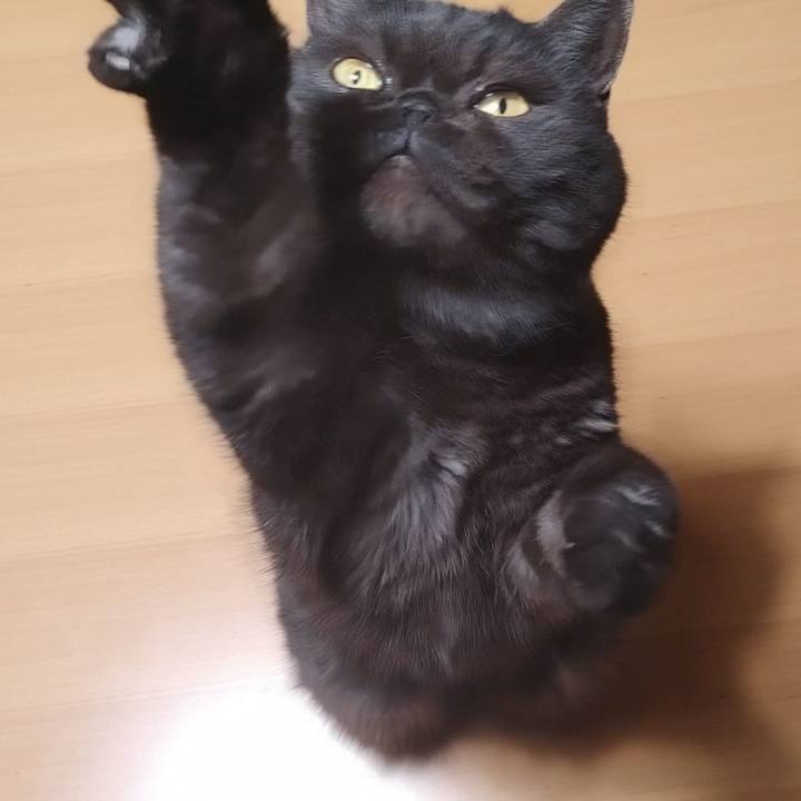 7affea42 8f19 48fe 8c20 0794038bae08 1636189202225